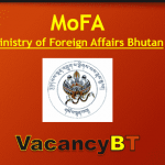 Ministry of Foreign Affairs Vacancy 2022