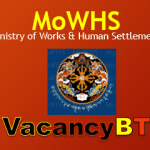 MoWHS Recent Vacancy Announcement 2019